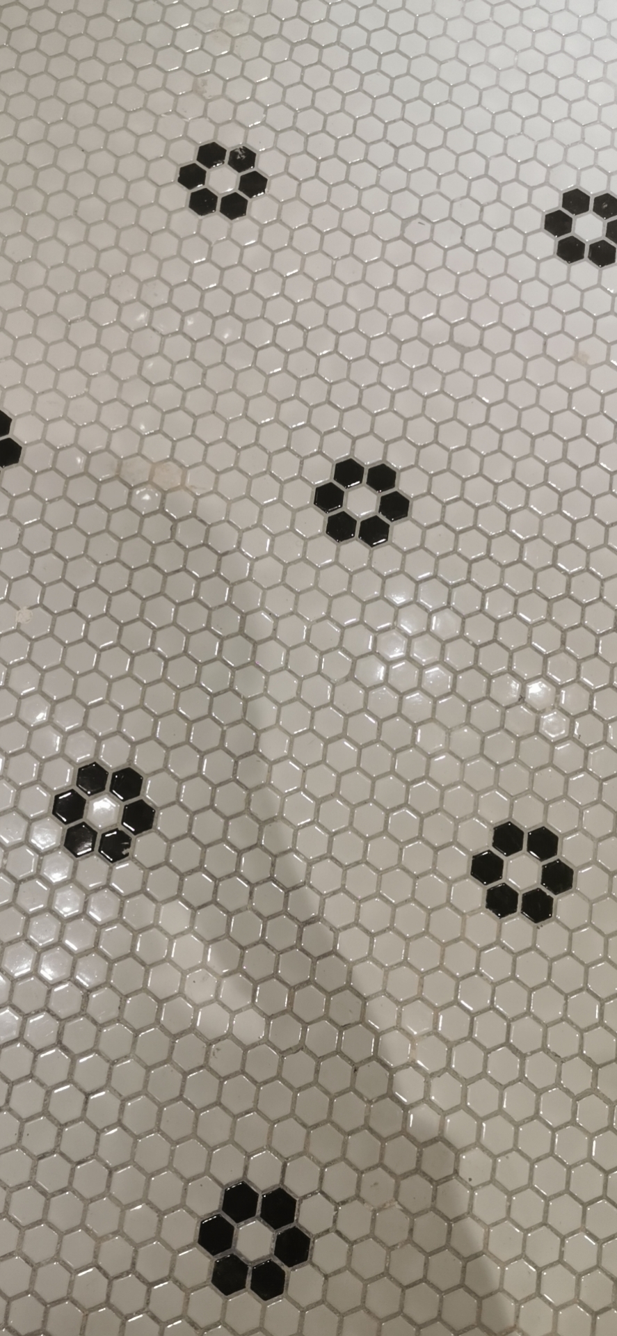 1705649536126397.jpg 1705649536126397.jpg